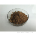 Hot Sell Agaricus Bisporus Mushroom Extract Powder